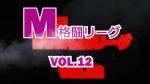 M格闘リーグ VOL.12