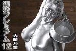 【HD】銀粉プレミアム 12 天晴乃愛