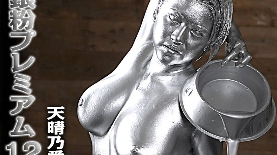 【HD】銀粉プレミアム 12 天晴乃愛