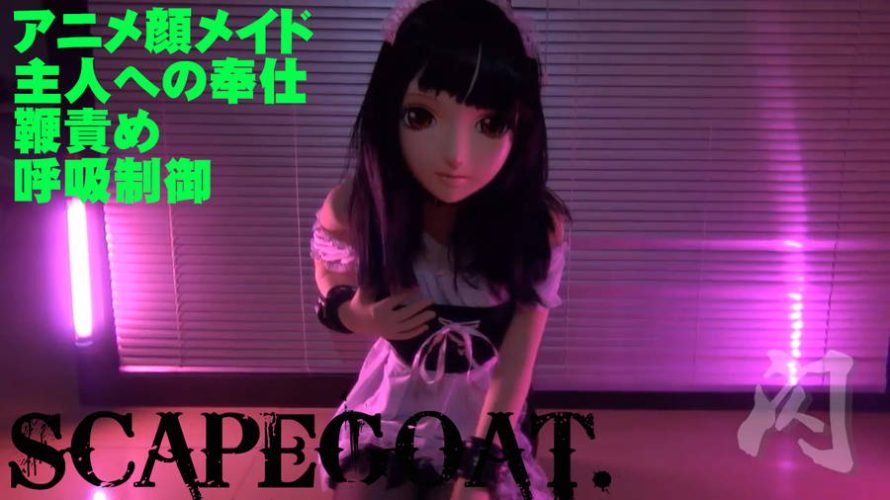 アニメ顔に改造され全力で主人に尽くすもお仕置きされた生贄