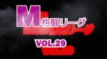 M格闘リーグ VOL.29