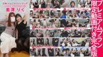 【HD】ひめりんごによる A【AV女優ぐりぐら化① 藍澤りく】 5コンテンツ+プレミアム映像セット